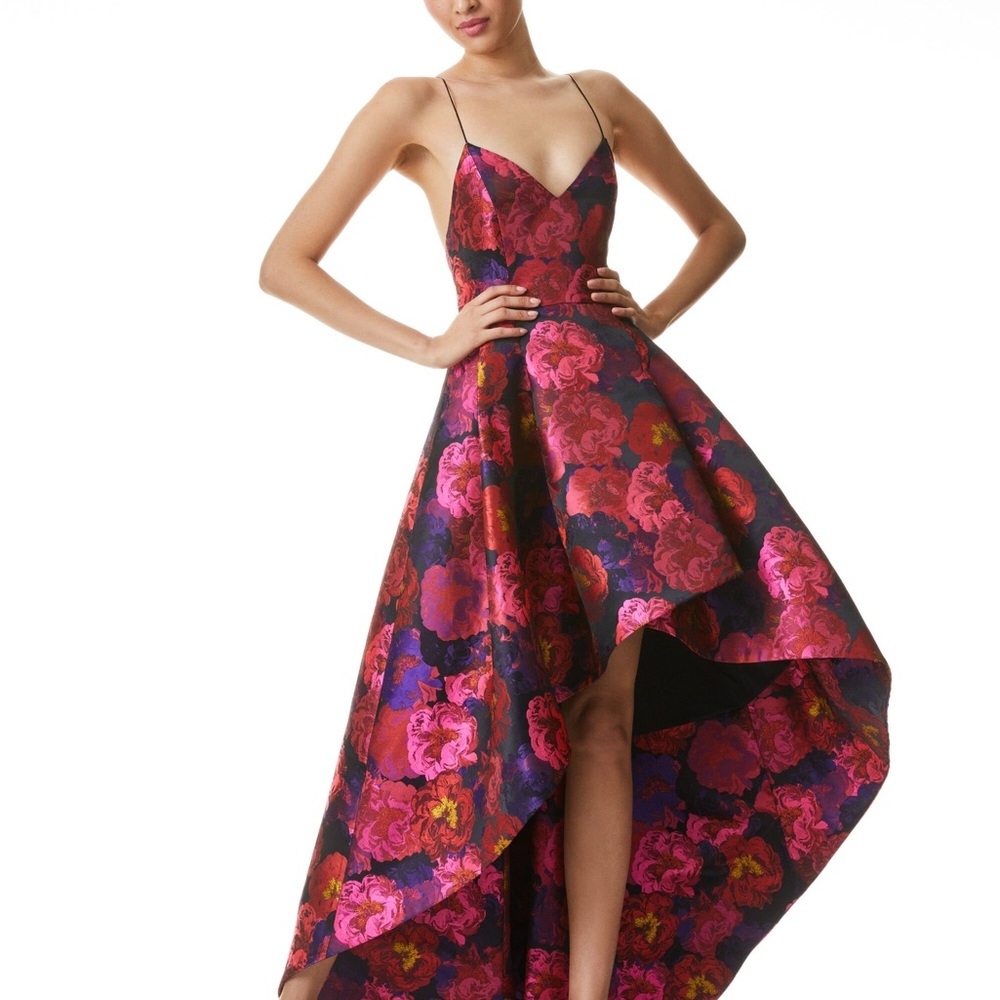 Alice + Olivia Pink and Red Floral High Low Dress